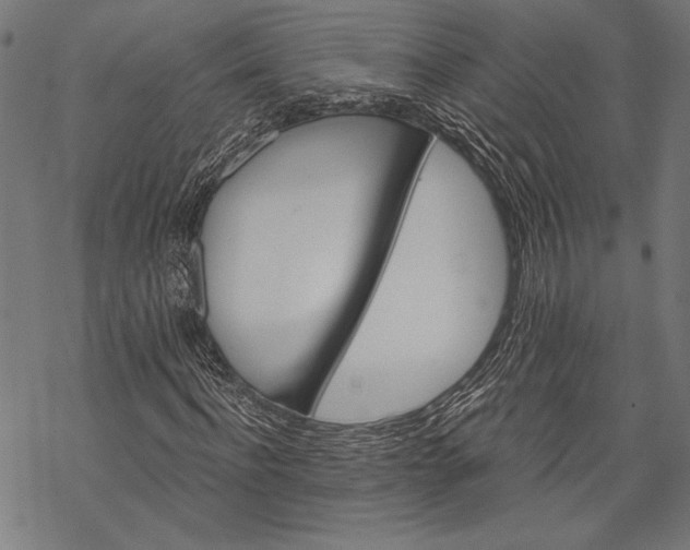 X0000068310916200605051527