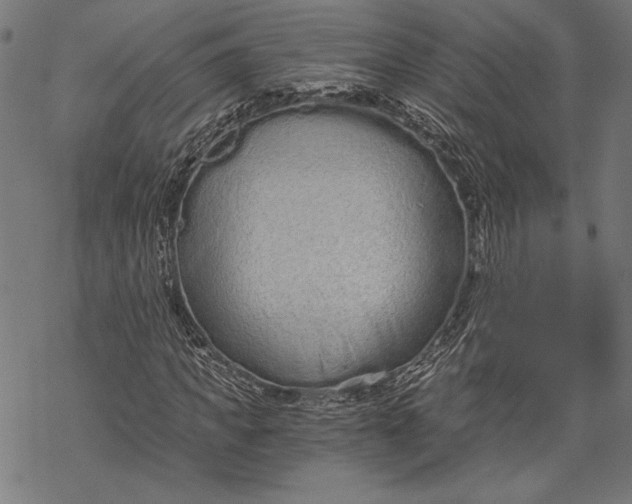 X0000068310917200605051527