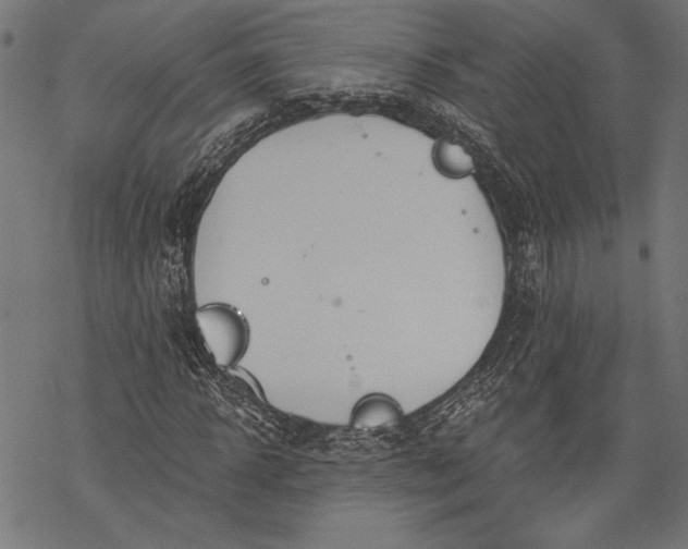 X0000068310918200605051527