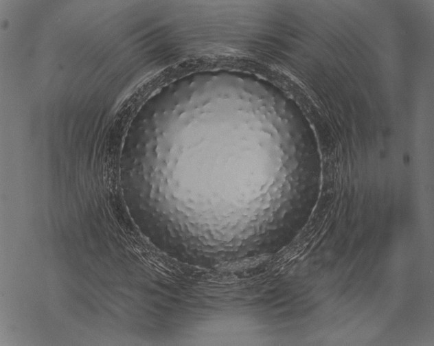 X0000068310919200605051527