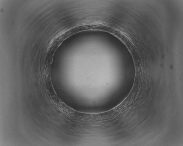 X0000068310920200605051527