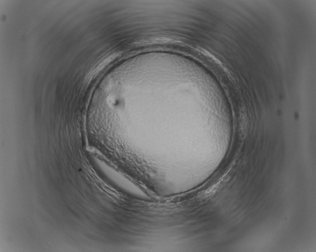 X0000068310921200605051527