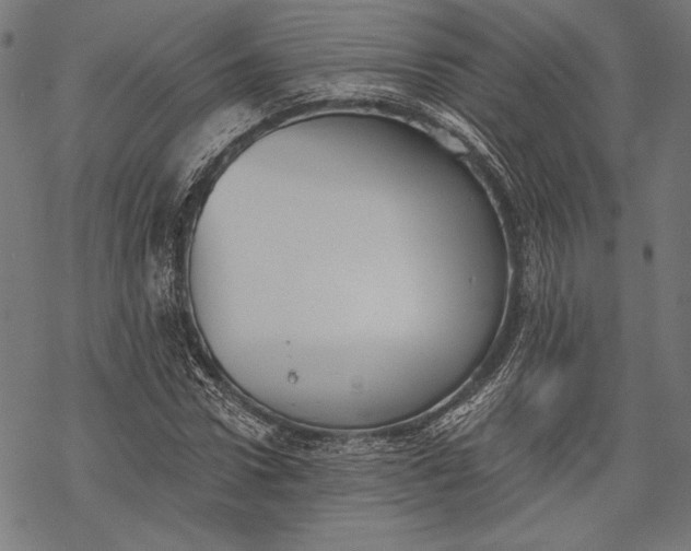 X0000068310922200605051527