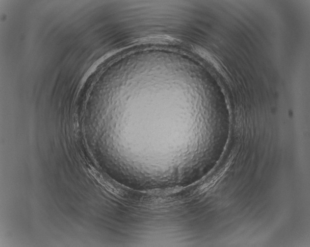 X0000068310923200605051527