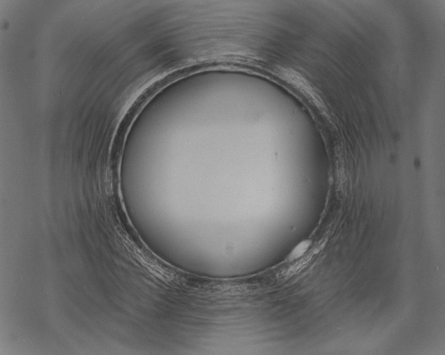 X0000068310924200605051527