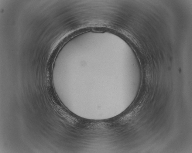 X0000068310926200605051527