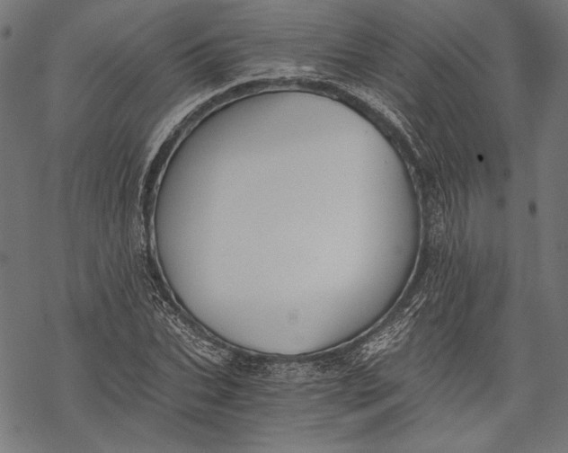 X0000068310927200605051527