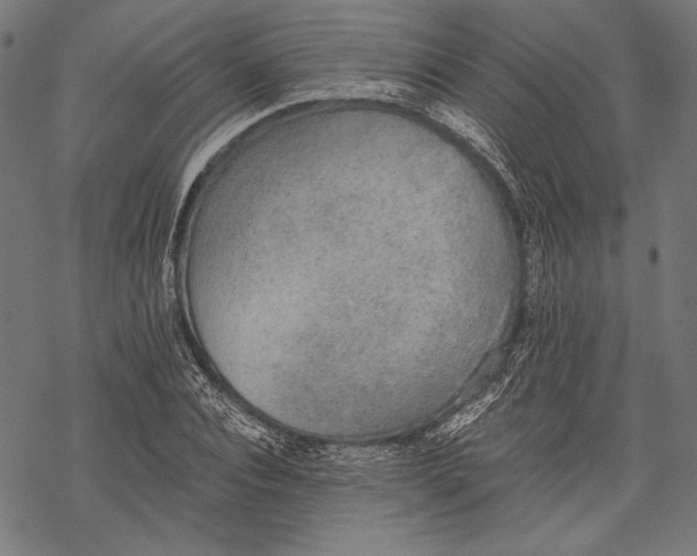 X0000068310928200605051527