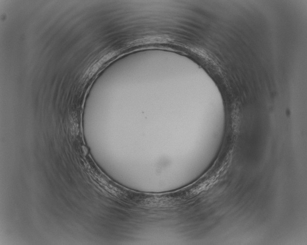 X0000068310929200605051527