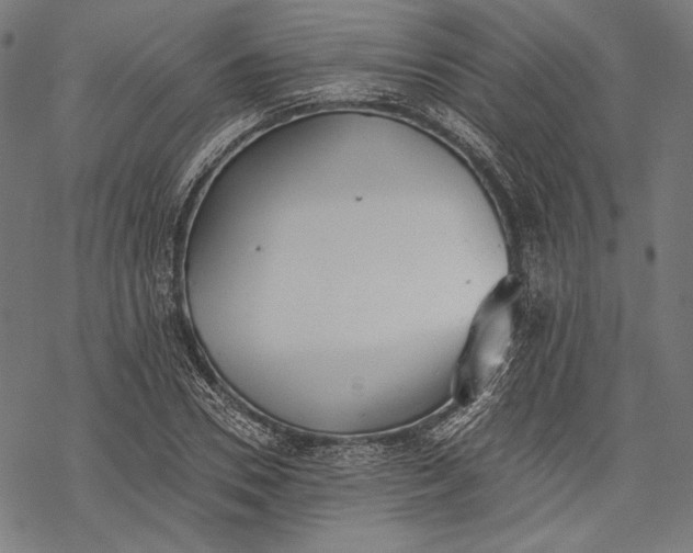 X0000068310930200605051527