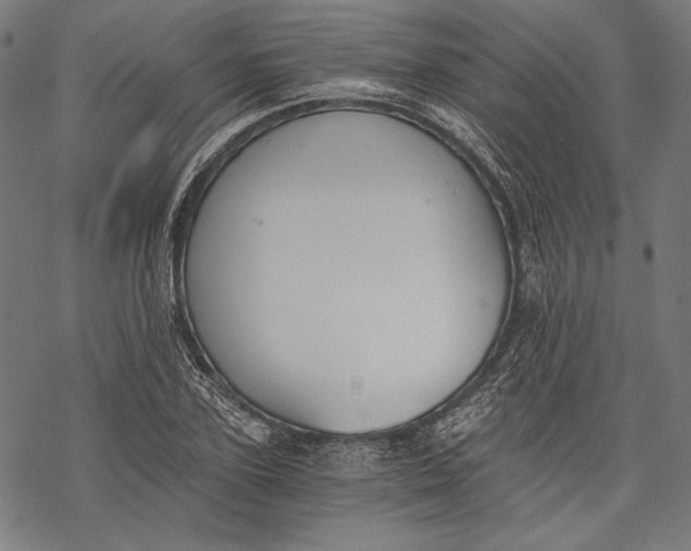 X0000068310931200605051527