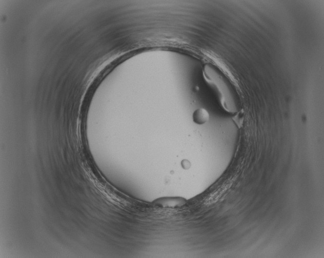 X0000068310932200605051527