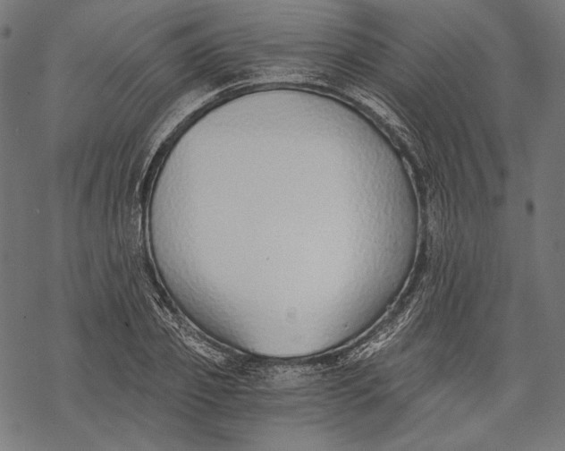 X0000068310933200605051527