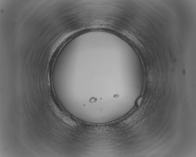 X0000068310934200605051527