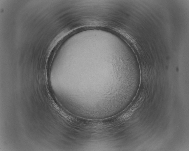 X0000068310935200605051527