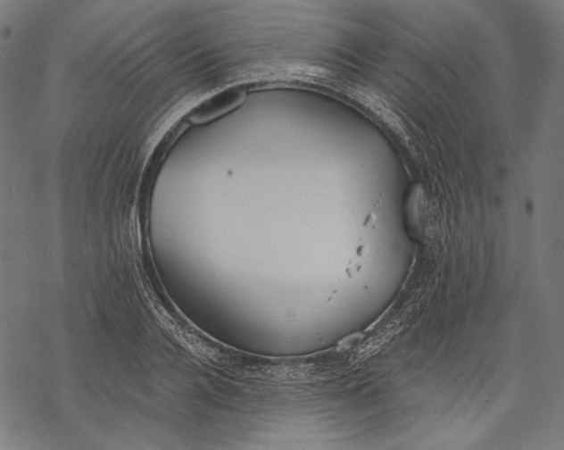 X0000068310936200605051527