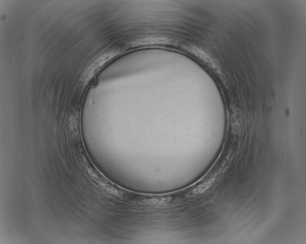 X0000068310937200605051527