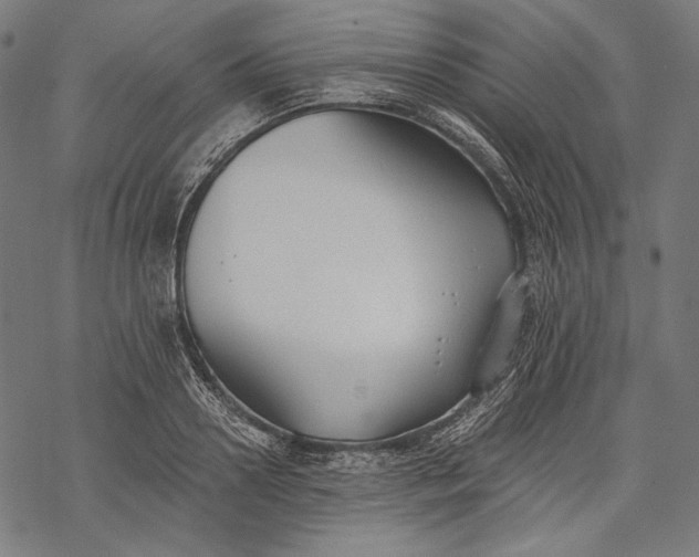 X0000068310938200605051527