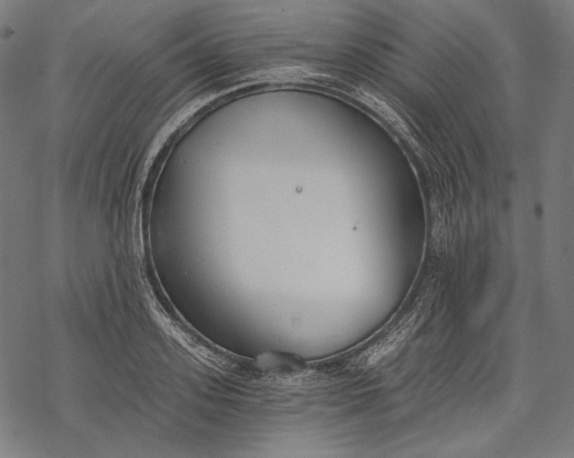 X0000068310939200605051527