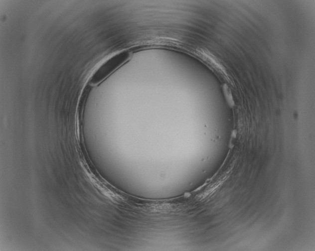 X0000068310940200605051527