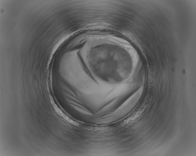 X0000068310941200605051527