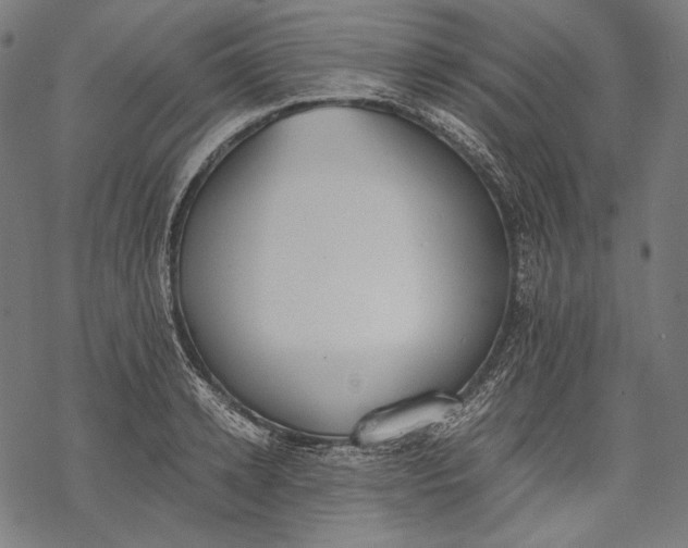 X0000068310942200605051527