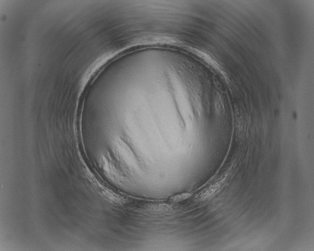 X0000068310943200605051527