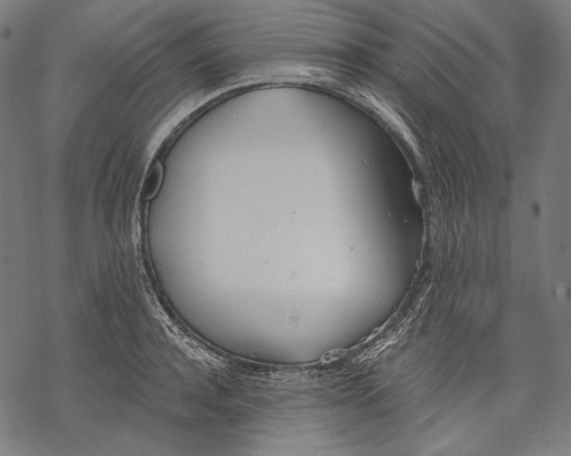 X0000068310944200605051527