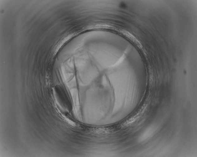 X0000068310945200605051527