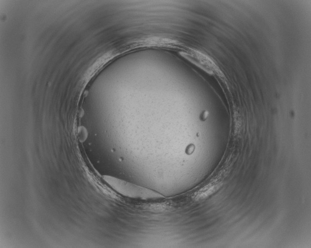 X0000068310946200605051527