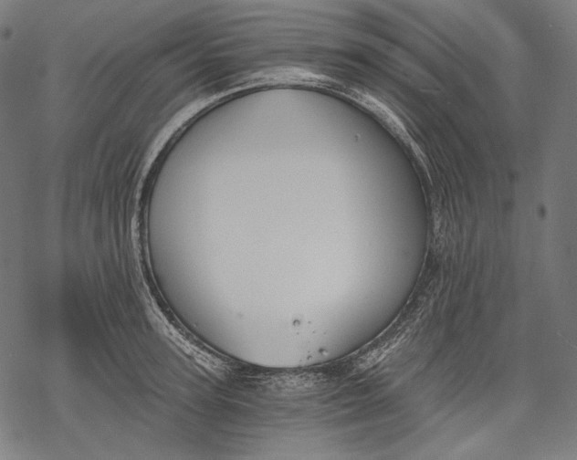 X0000068310947200605051527