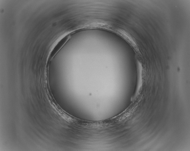 X0000068310948200605051527