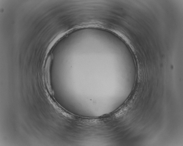 X0000068310949200605051527