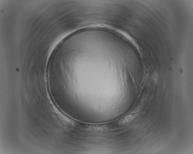 X0000068310951200605051527