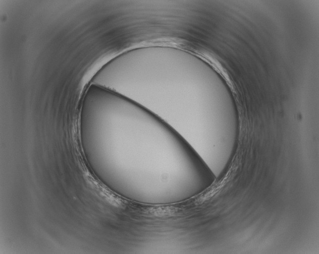 X0000068310952200605051527