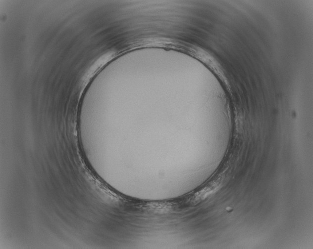 X0000068310954200605051527