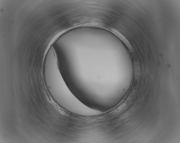 X0000068310956200605051527