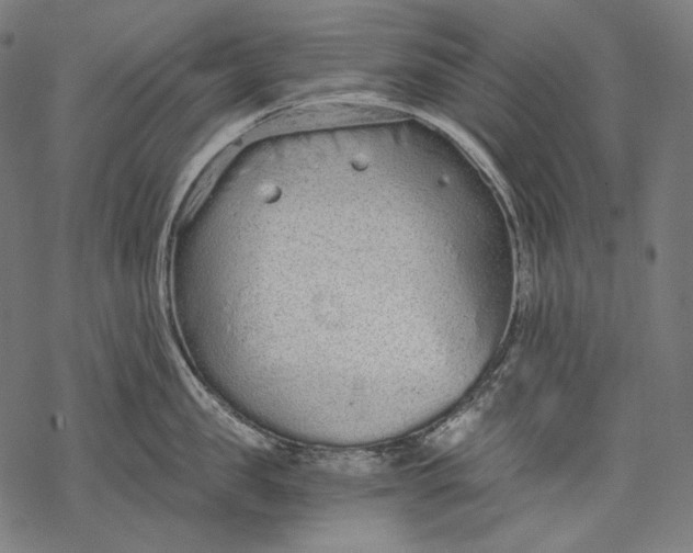 X0000068310957200605051527