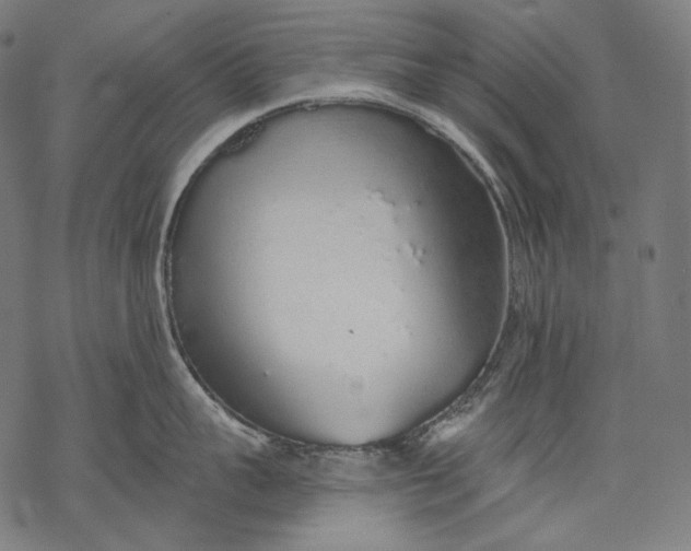 X0000068310959200605051527