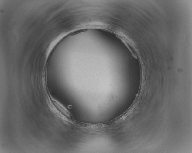 X0000068310960200605051527