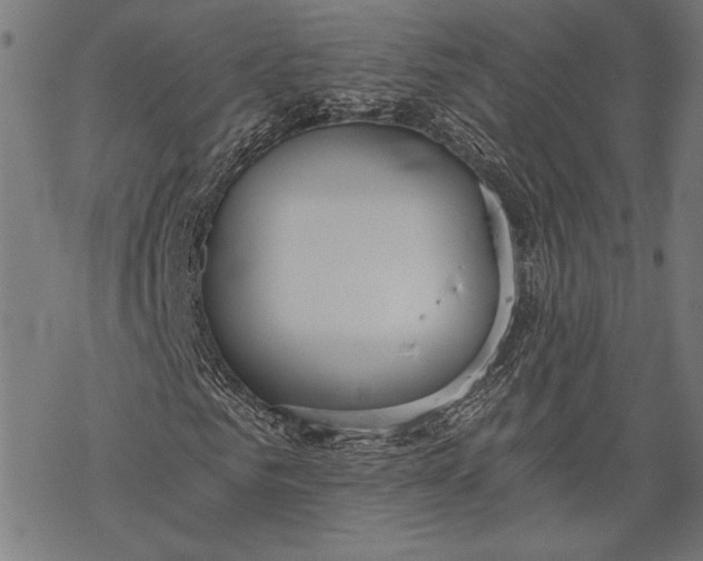 X0000068310961200605051527