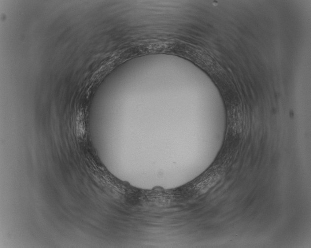 X0000068310962200605051527