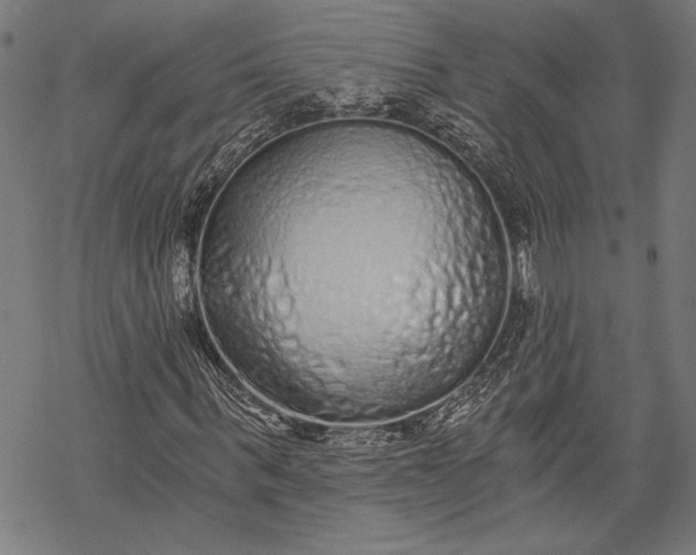 X0000068310963200605051527