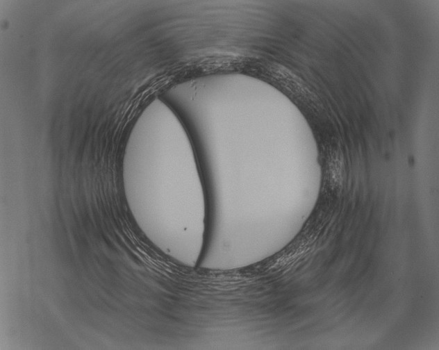 X0000068310964200605051527