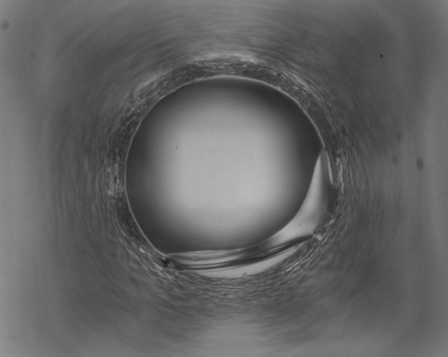 X0000068310965200605051527