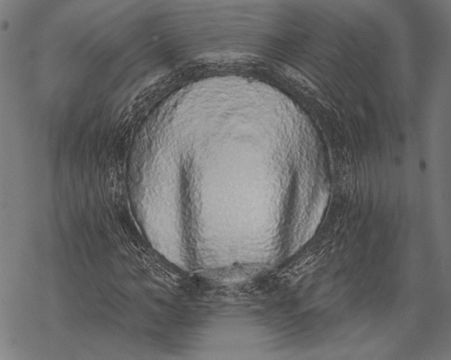 X0000068310966200605051527