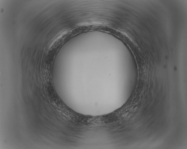 X0000068310967200605051527