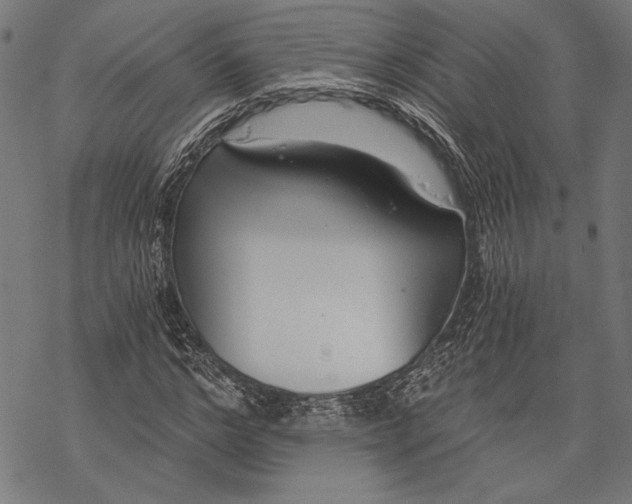 X0000068310968200605051527