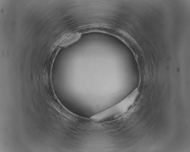 X0000068310969200605051527