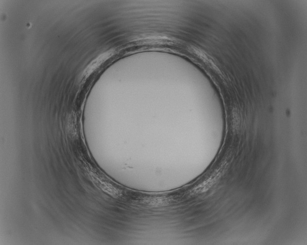 X0000068310970200605051527